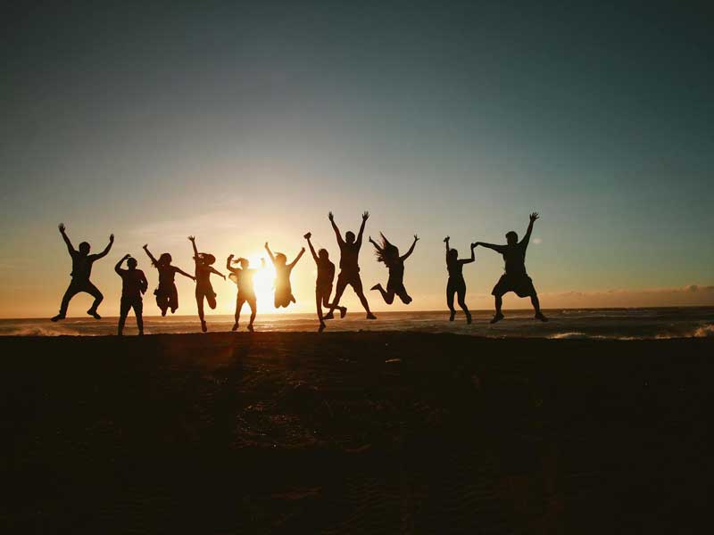 meet the team